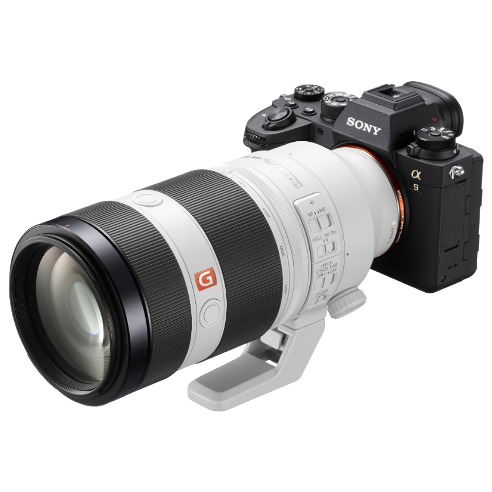 Sony Alpha 9 Mark II + FE 100-400mm F4.5-5.6 GM OSS
